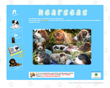 Nearseas Collage