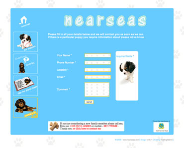 Nearseas Contact Page