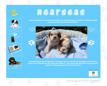 Nearseas Homepage